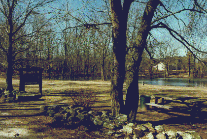 Bruuer Pond